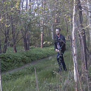 Quick stops into the trees