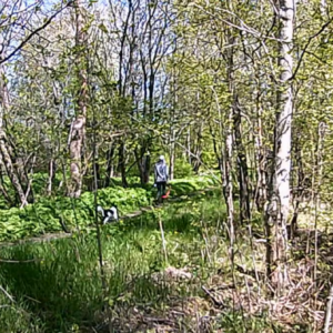 Wide angle at the pee trail