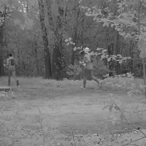 Mad dash through the parking lot