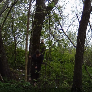 Heading into the bushes