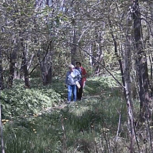 Down the pee trail we go