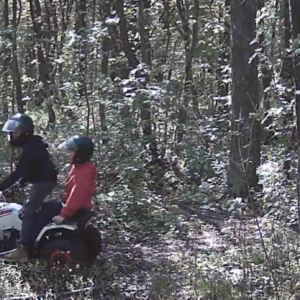 Stuck in the woods