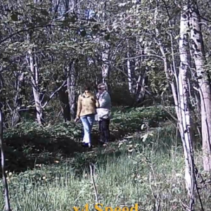 A long chat