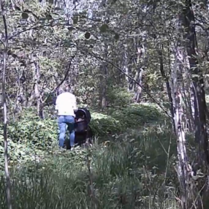 Strolling along the trail