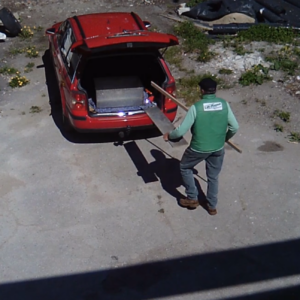 Action at the birdhouse and a thief caught on camera
