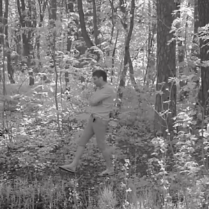 Creeping around the forest