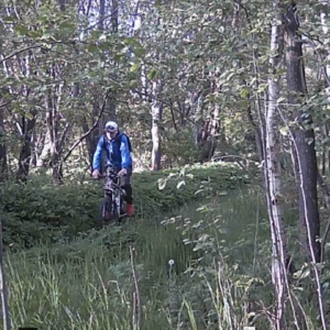 Activity along the pee trail