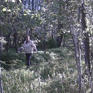 Squatting through the trees