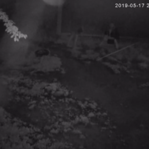 A late night visit