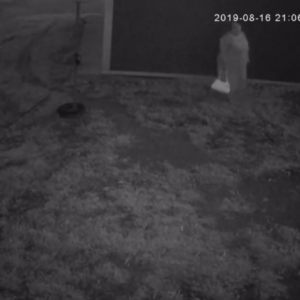 Big momma comes to leave a present