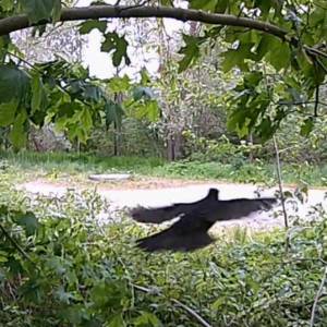 Flyby and more at the parking lot