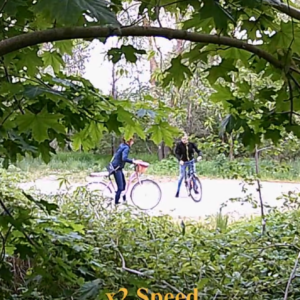 Busy day for bikers
