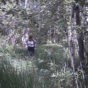 Women going into the weeds