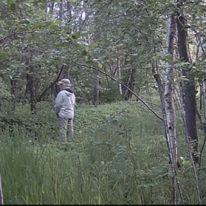 Just casually peeing into the bushes