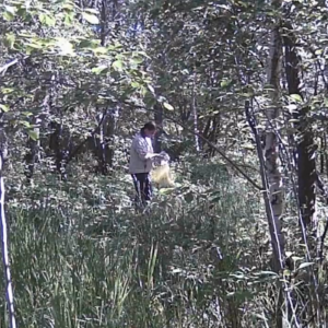 Busy day all around the forest