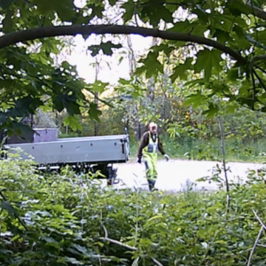 Workers lurking in the lot