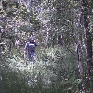 Creeper at the pee trail