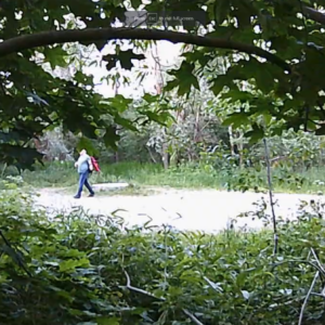 Heading to the pee trail