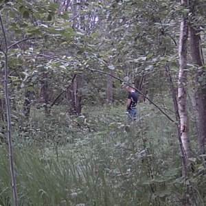 Activity along the pee trail
