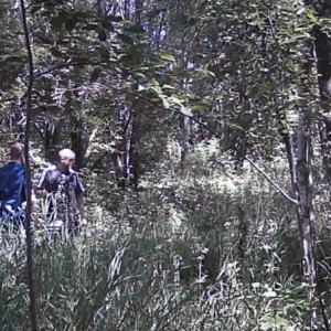 More action at the pee trail