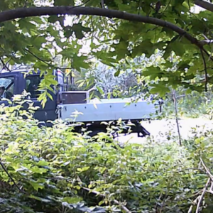 Action on the pee trail and parking lot