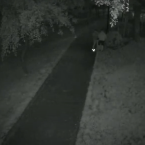 Retrieving something from the trash?