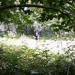Visitors to the parking lot