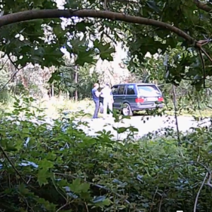 Activity at the parking lot