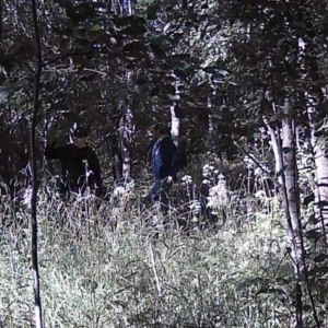 Creeping around at the pee trail