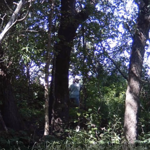 Lots of women coming to the woods