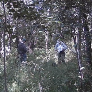 Couple on the pee trail and a bird attack