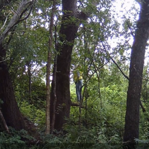 Falling water and a mud slide at the birdhouse