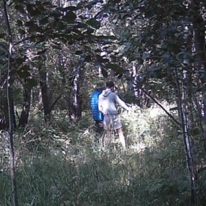 Creeping around the trail again