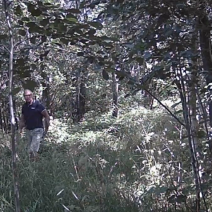 Men along the pee trail and creepers return