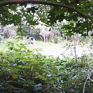 Activity around the parking lot