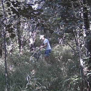 Visitors to the famous pee trail