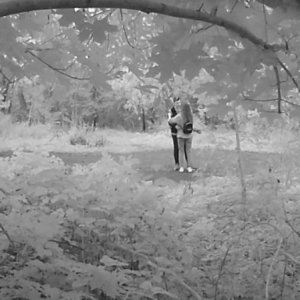 Activity at the lot and a little romance