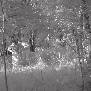 Several ladies on the pee trail