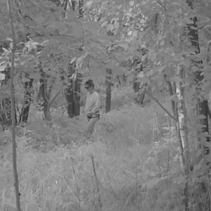 Pee trail visitors and lurking around the storage unit