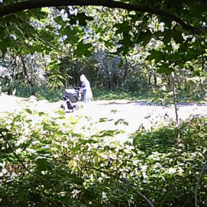 Parking lot visitors