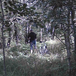 Men on the pee trail