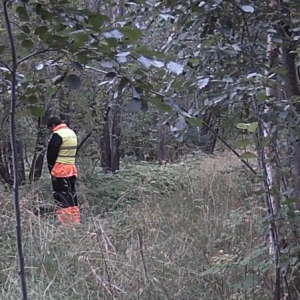 Several stops from the man in high-vis