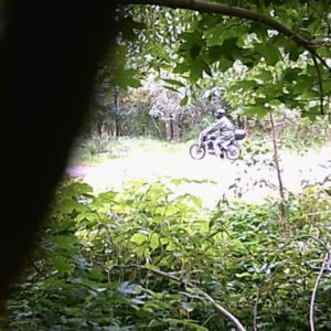 Activity at the parking lot