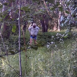 Hiking trail or public bathroom