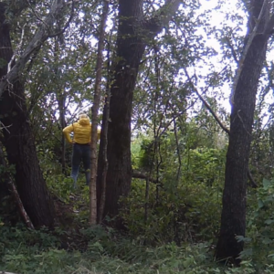 Powerful stream from the lady in yellow