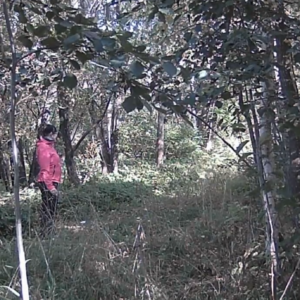 Creeping around the trail again