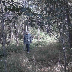 Women on the pee trail