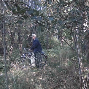 Men into the trees