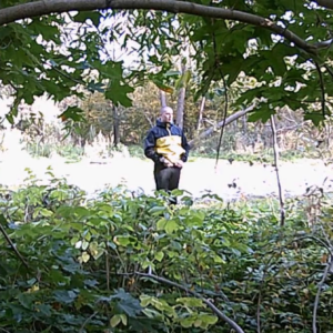 Men in the woods and a clear view at the parking lot